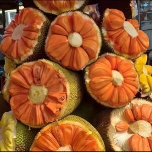 Daeng Surya Jaickfruit