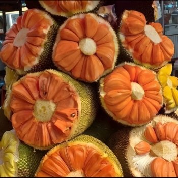Daeng Surya Jaickfruit