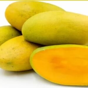 Dashehari Mango